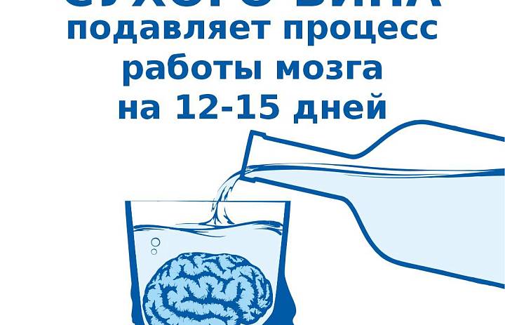 Бокал сухого вина подавляет работу мозга