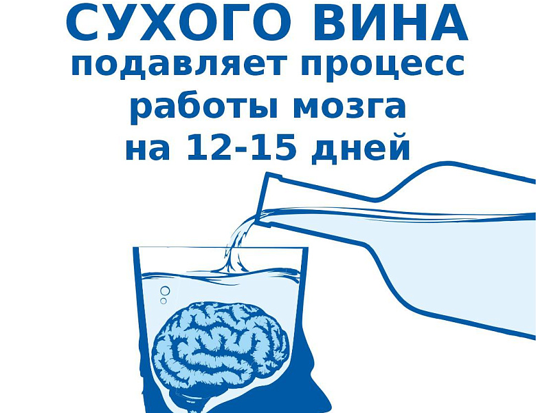 Бокал сухого вина подавляет работу мозга